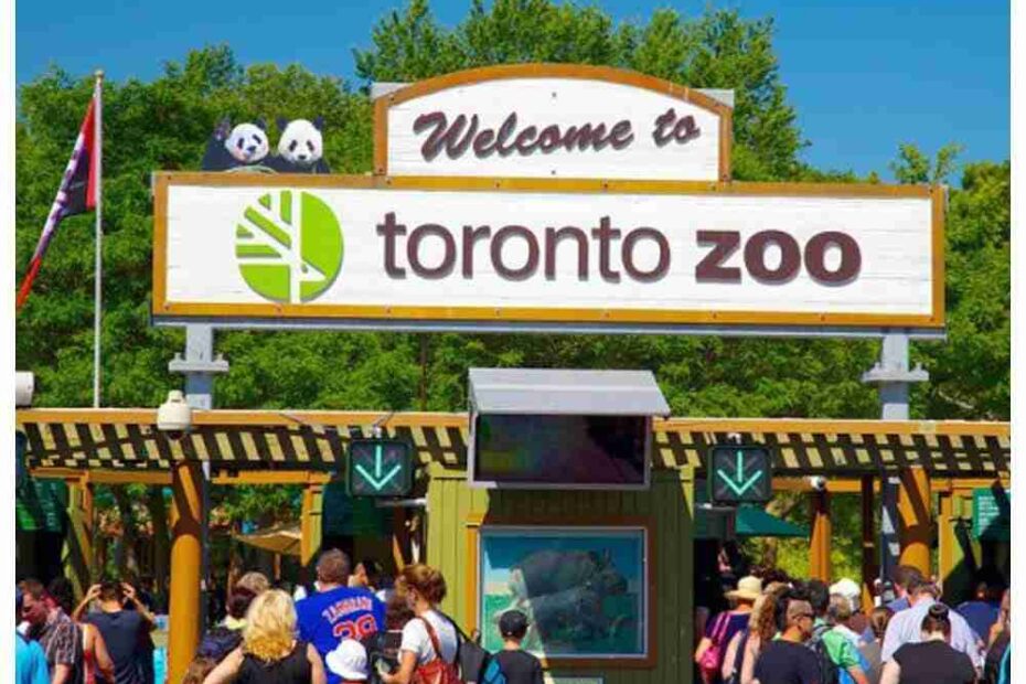 toronto zoo