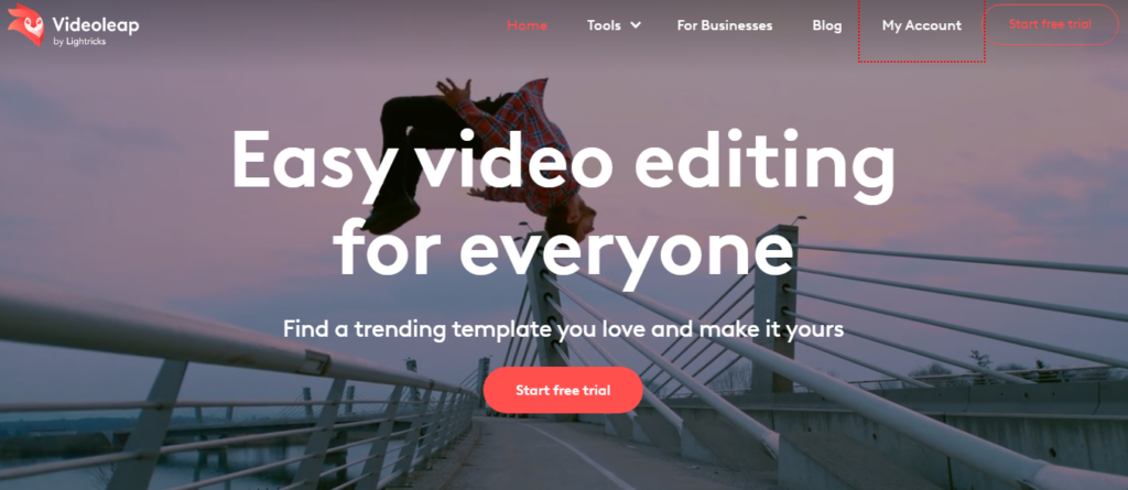 Videoleap AI Video Editing Tools