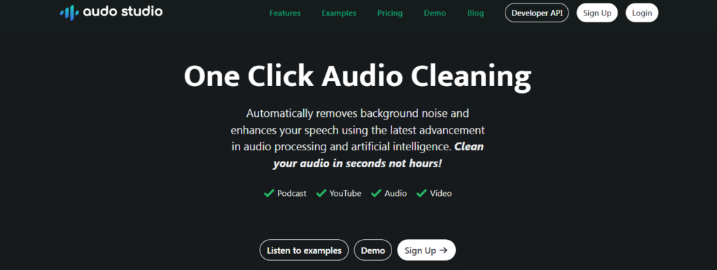 Audo Studio Audio Editing AI Tools